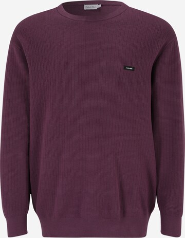 Pull-over Calvin Klein Big & Tall en violet : devant