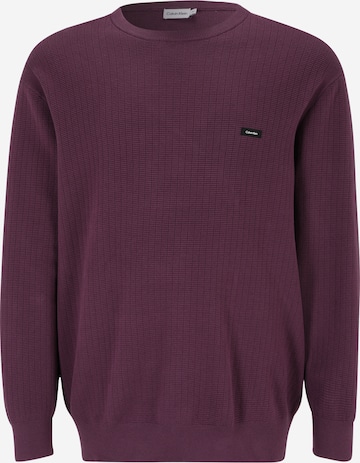 Pull-over Calvin Klein Big & Tall en violet : devant