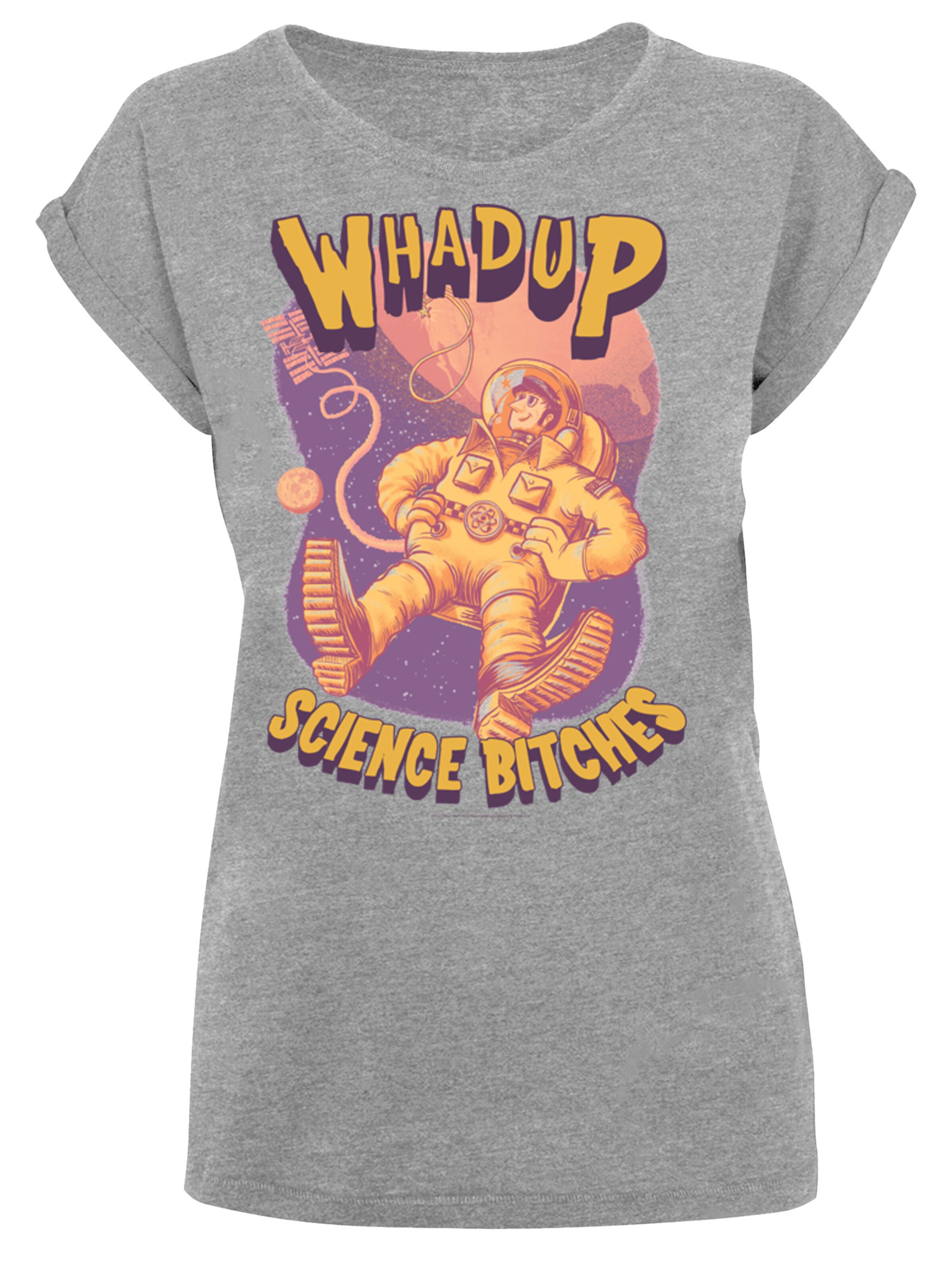 F4NT4STIC Shirt 'Big Bang Theory' in Grijs: voorkant