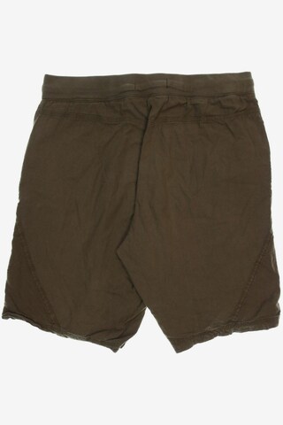 Zizzi Shorts in S in Green