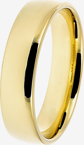 DOOSTI Ring in Gold: front