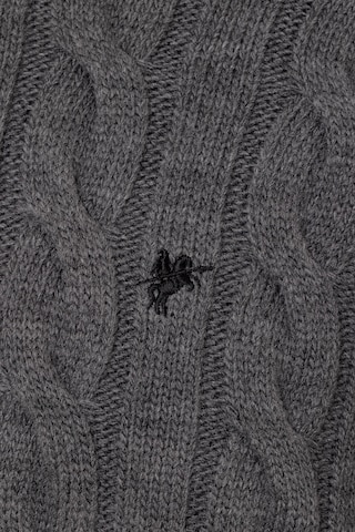 DENIM CULTURE Sweater 'JOEL' in Grey