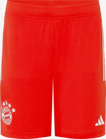 FC BAYERN MÜNCHEN Regular Workout Pants 'FC Bayern München' in Red: front