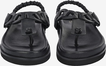 Crickit T-Bar Sandals in Black