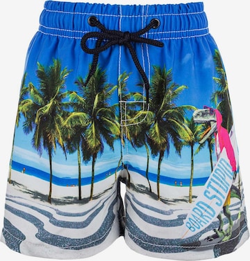 ZigZag Swim Trunks 'Dino' in Mixed colors: front