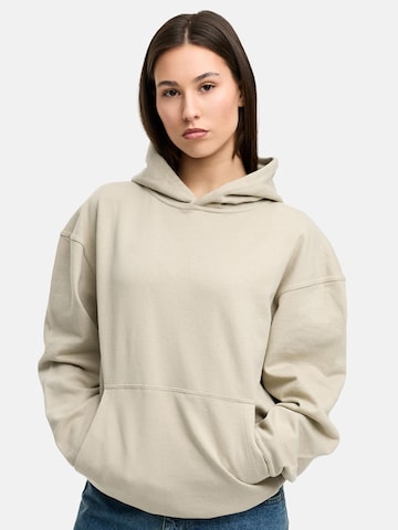 Daily Cotton Sweatshirt 'DCTERUEL' in Grey: front
