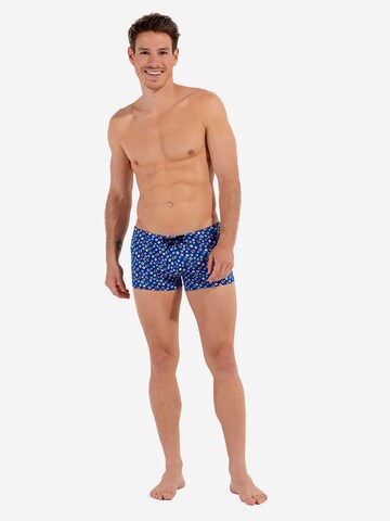 Maillot de bain ' Swim Shorts Socoa ' HOM en bleu