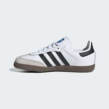 ADIDAS ORIGINALS Sneakers 'Samba' in Wit