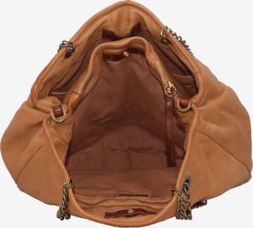 Caterina Lucchi Shoulder Bag in Brown