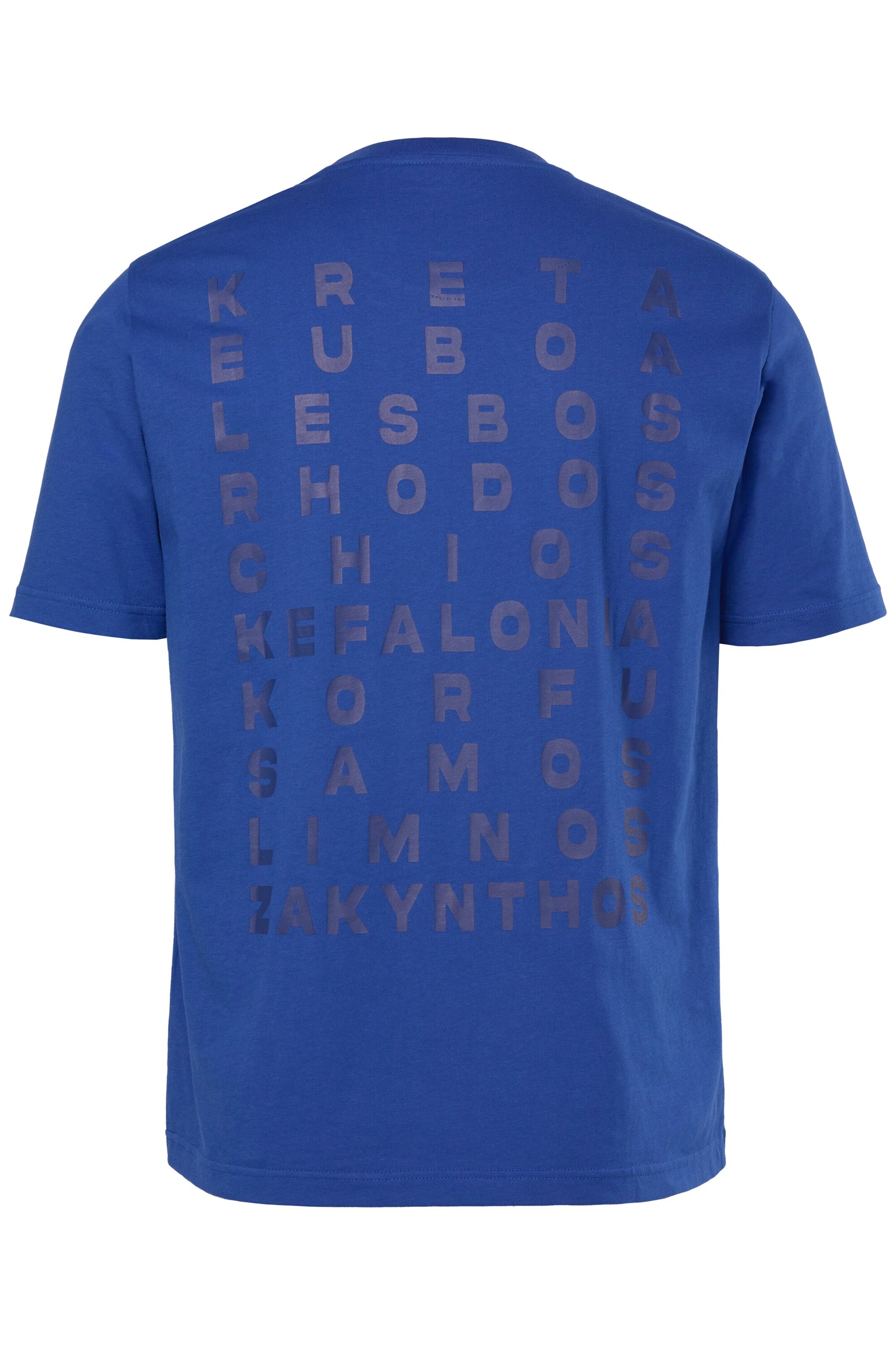 Men Plus T-Shirt in Blau