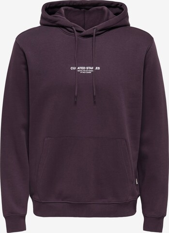 Only & Sons Sweatshirt 'ONSCURATED' in Lila: voorkant