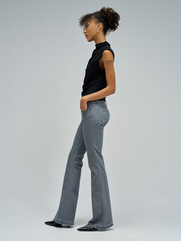 Salsa Jeans Skinny Jeans in Grijs