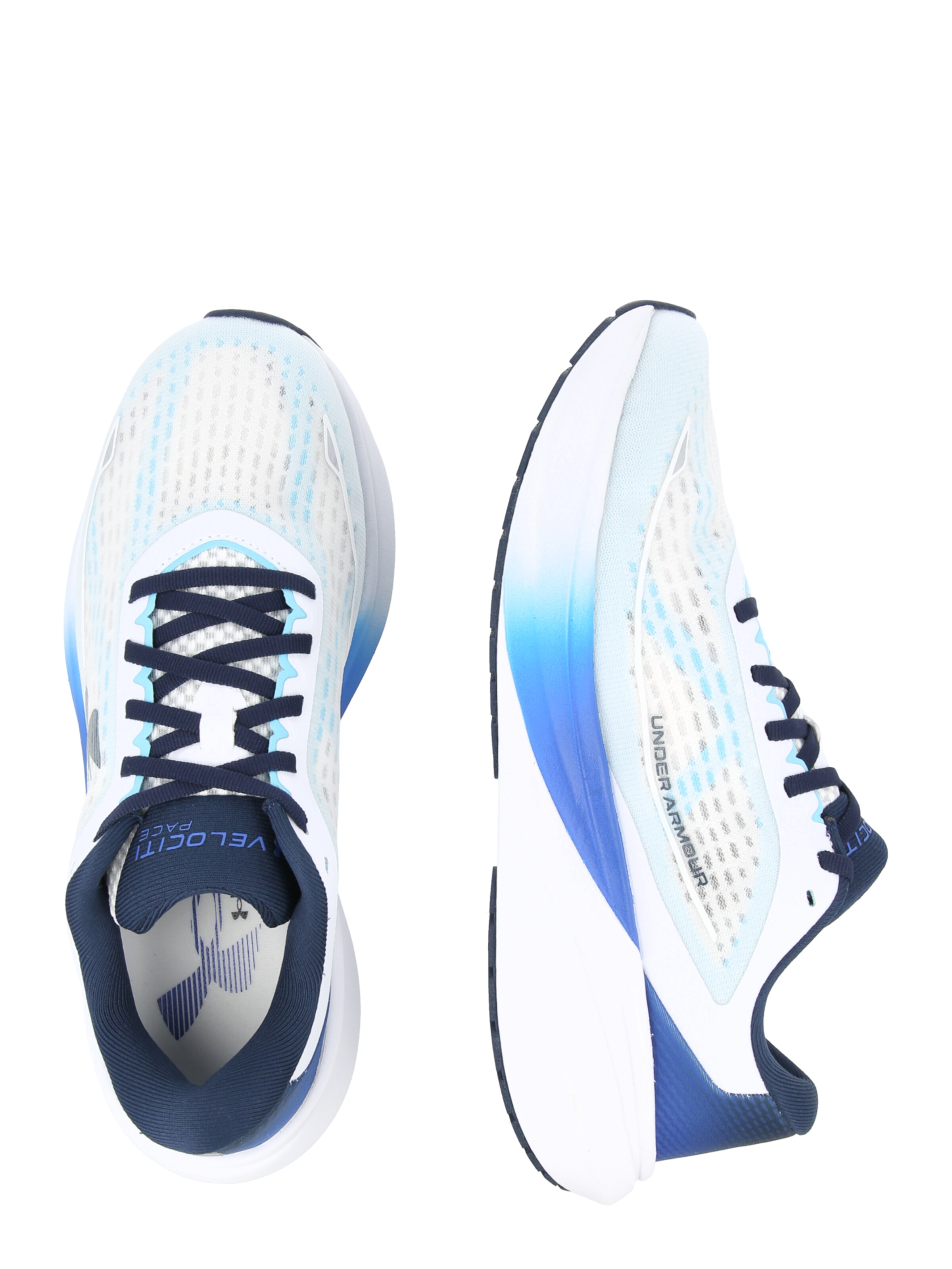 UNDER ARMOUR Športni čevelj 'UA Velociti Pace' | bela barva