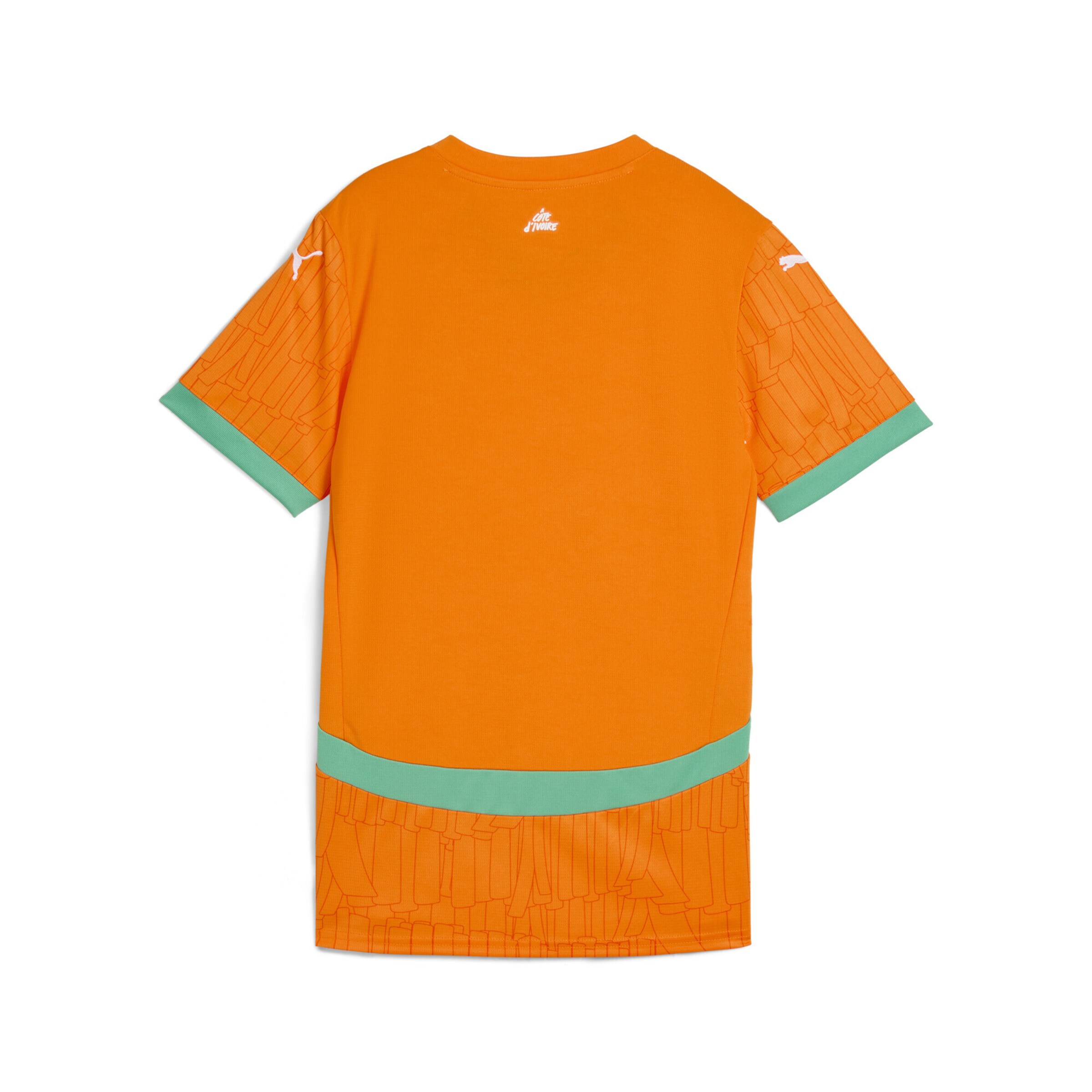 PUMA Tricot 'Elfenbeinküste 2025 Heimtrikot' in Oranje
