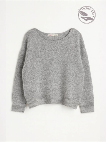 Pullover 'Pullover' di MixRay in grigio: frontale