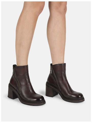 Bottines 'Sakura E275' FELMINI en marron : devant