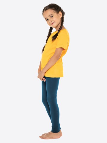 celodoro Regular Leggings 'Thermal Underwear' in Green