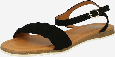 Sandalo con cinturino Apple of Eden di colore nero, Visualizzazione prodotti