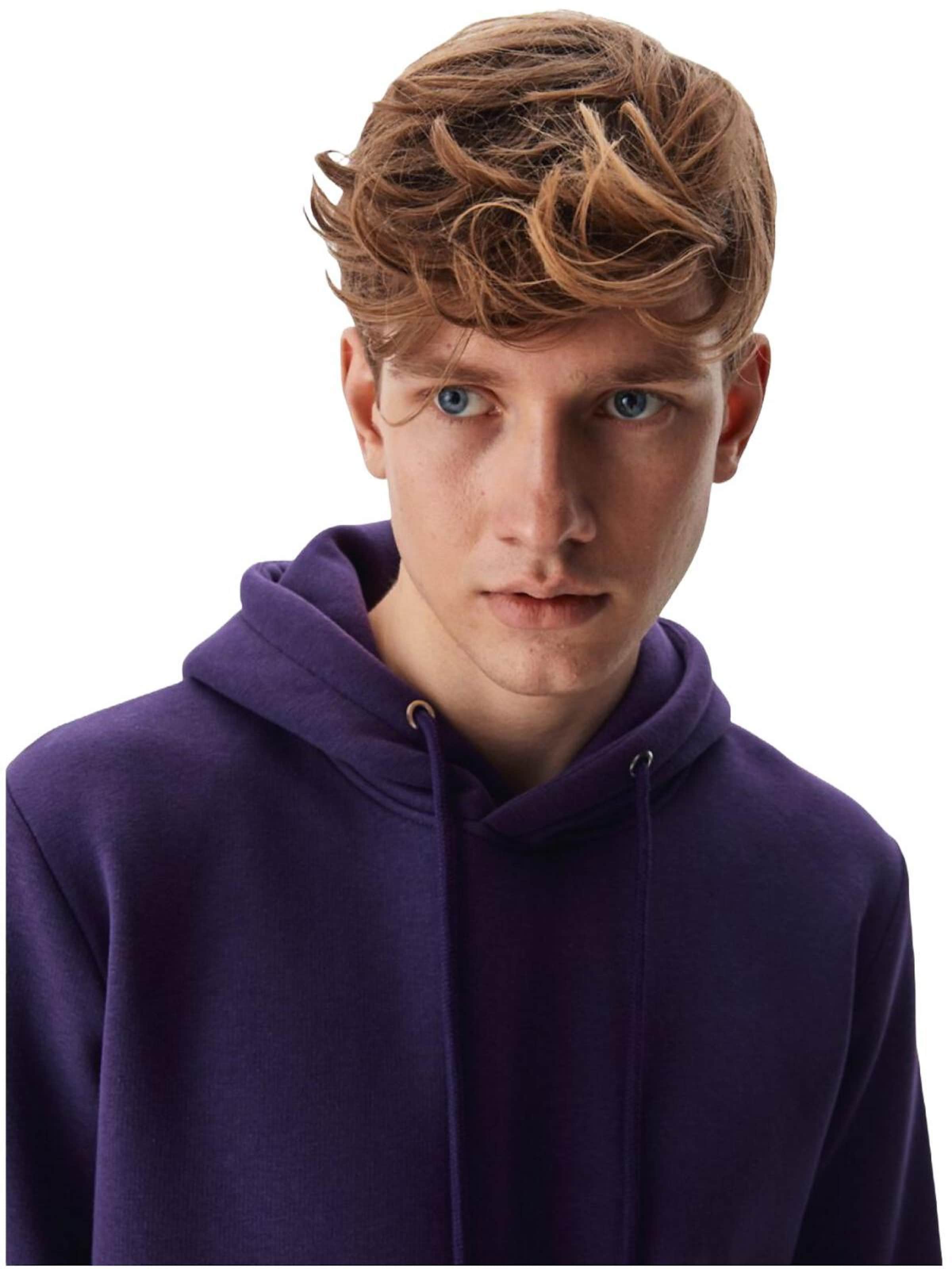 LTB Jeans - Sudadera 'LTB Jeans Herren-Sweatshirt' en lila
