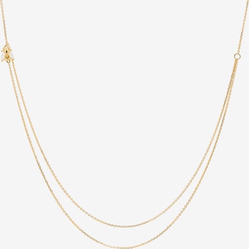 P D PAOLA Necklace in Yellow: front