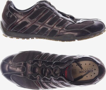 GEOX Sneakers & Trainers in 39 in Brown: front