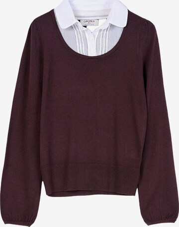 Camomilla Italia Trui 'Morena' in Bruin: voorkant