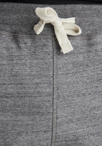 Tapered Pantaloni di BLEND in grigio