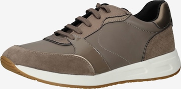 Sneaker bassa di GEOX in marrone: frontale