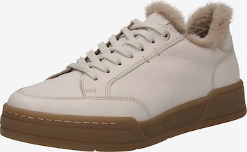 Baskets basses SALAMANDER en blanc : devant