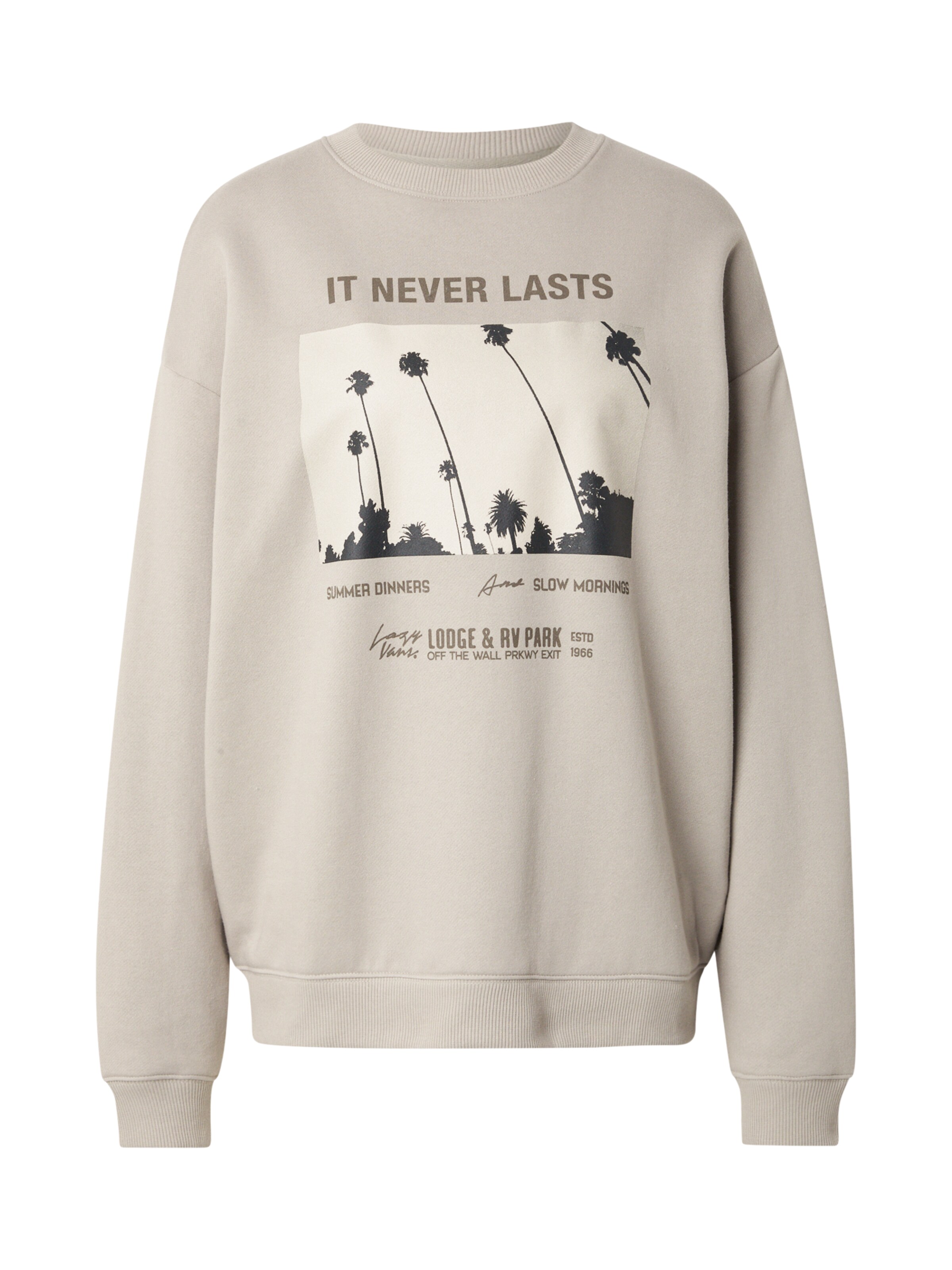 VANS Sweatshirt 'NEVERLASTING' in Grau: Vorderseite