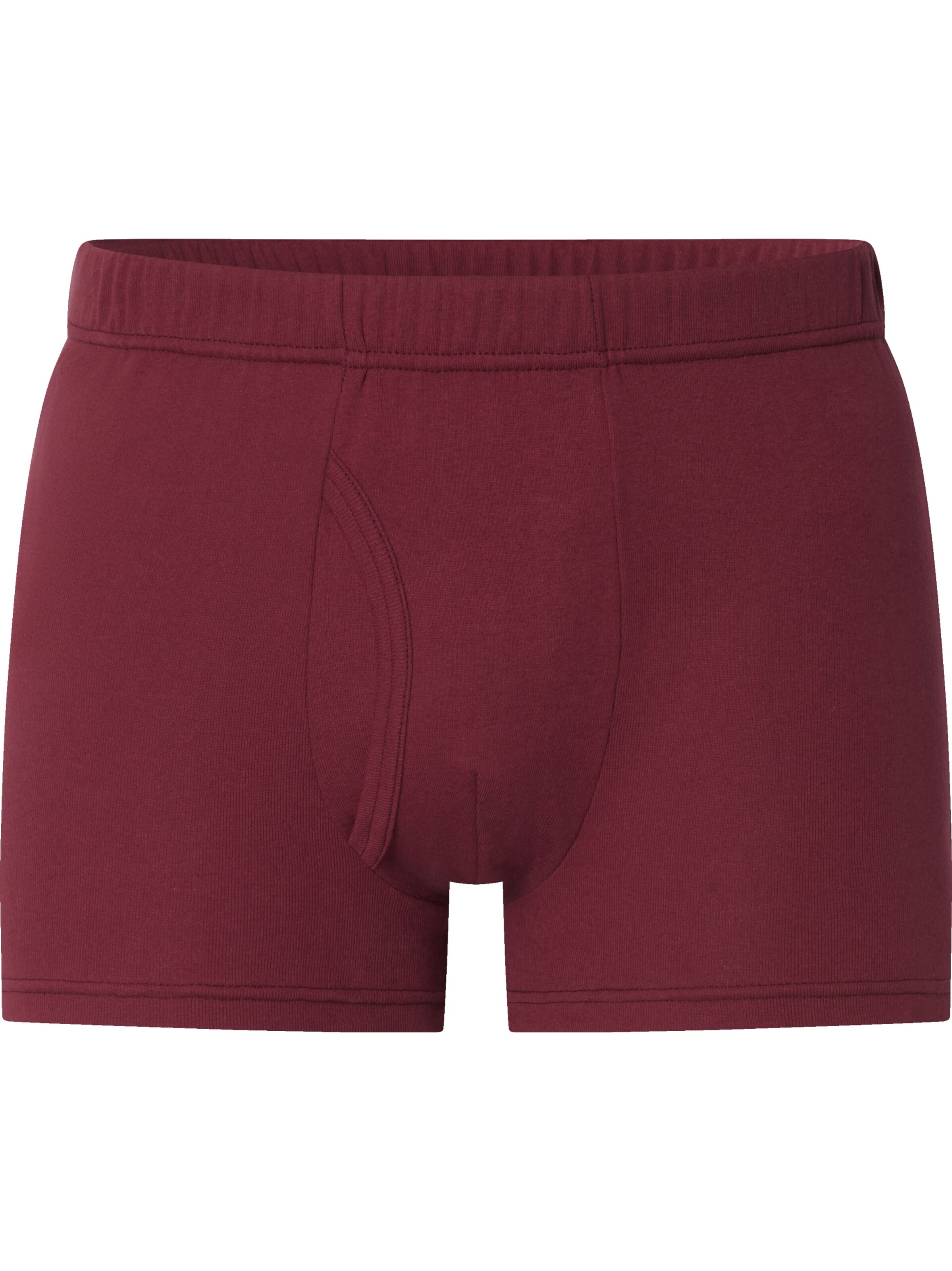 Jan Vanderstorm Boxershorts 'Gardar' in Grün