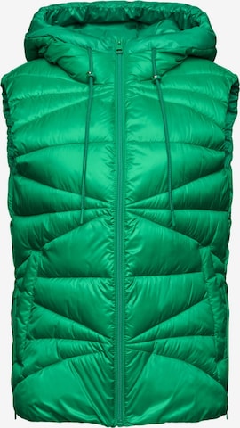 ESPRIT Bodywarmer in Groen: voorkant