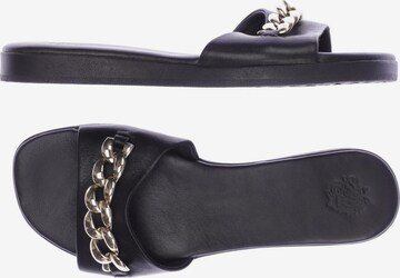 Apple of Eden Sandals & High-Heeled Sandals in 40 in Black: front
