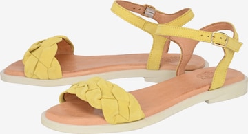 Apple of Eden Strap Sandals ' ALMA ' in Yellow