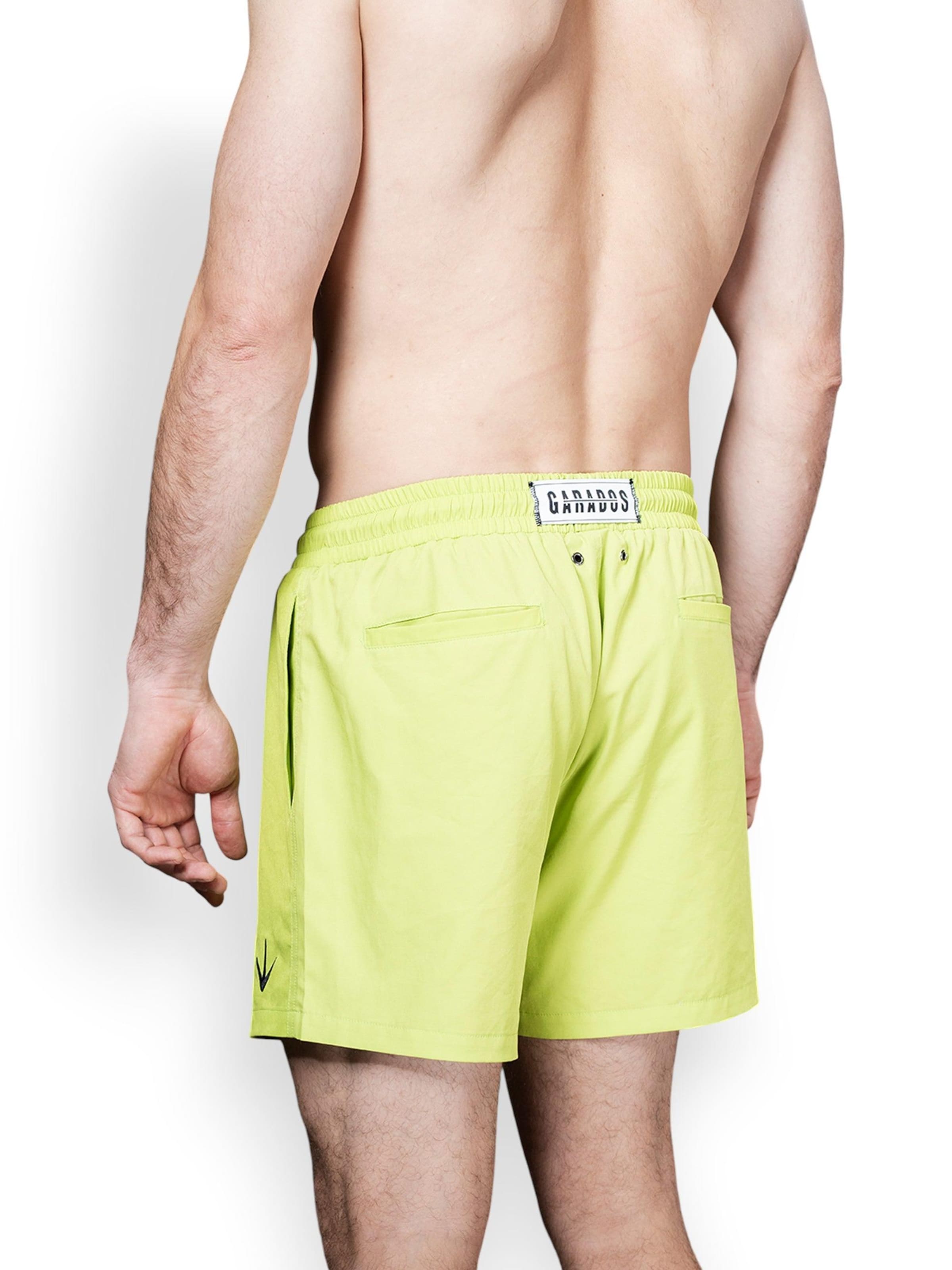 Garados Swim Board Shorts in Green