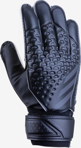 Gants de sport 'Predator Goalkeeper' ADIDAS PERFORMANCE en noir