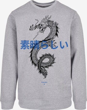 F4NT4STIC Sweatshirt 'Drache' in Grey: front
