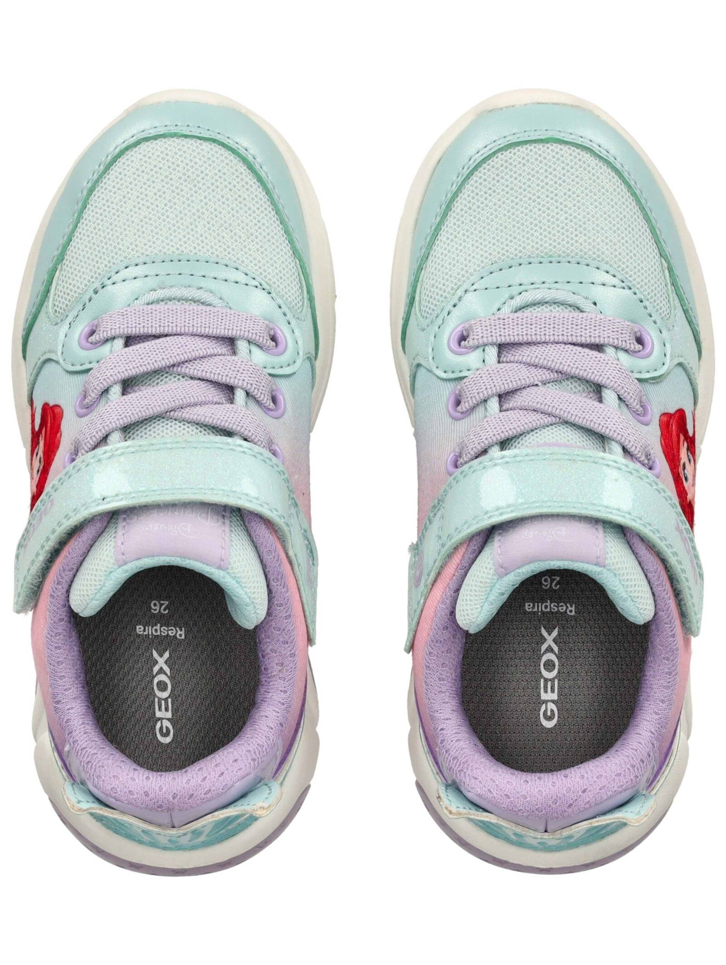 GEOX Sneakers in Blue