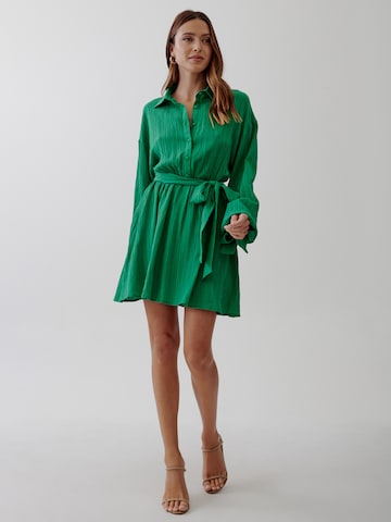 Tussah Blousejurk 'TANA' in Groen