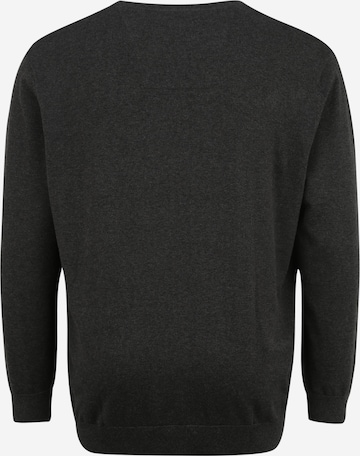 TOM TAILOR Men + Regular fit Sweater in Grey