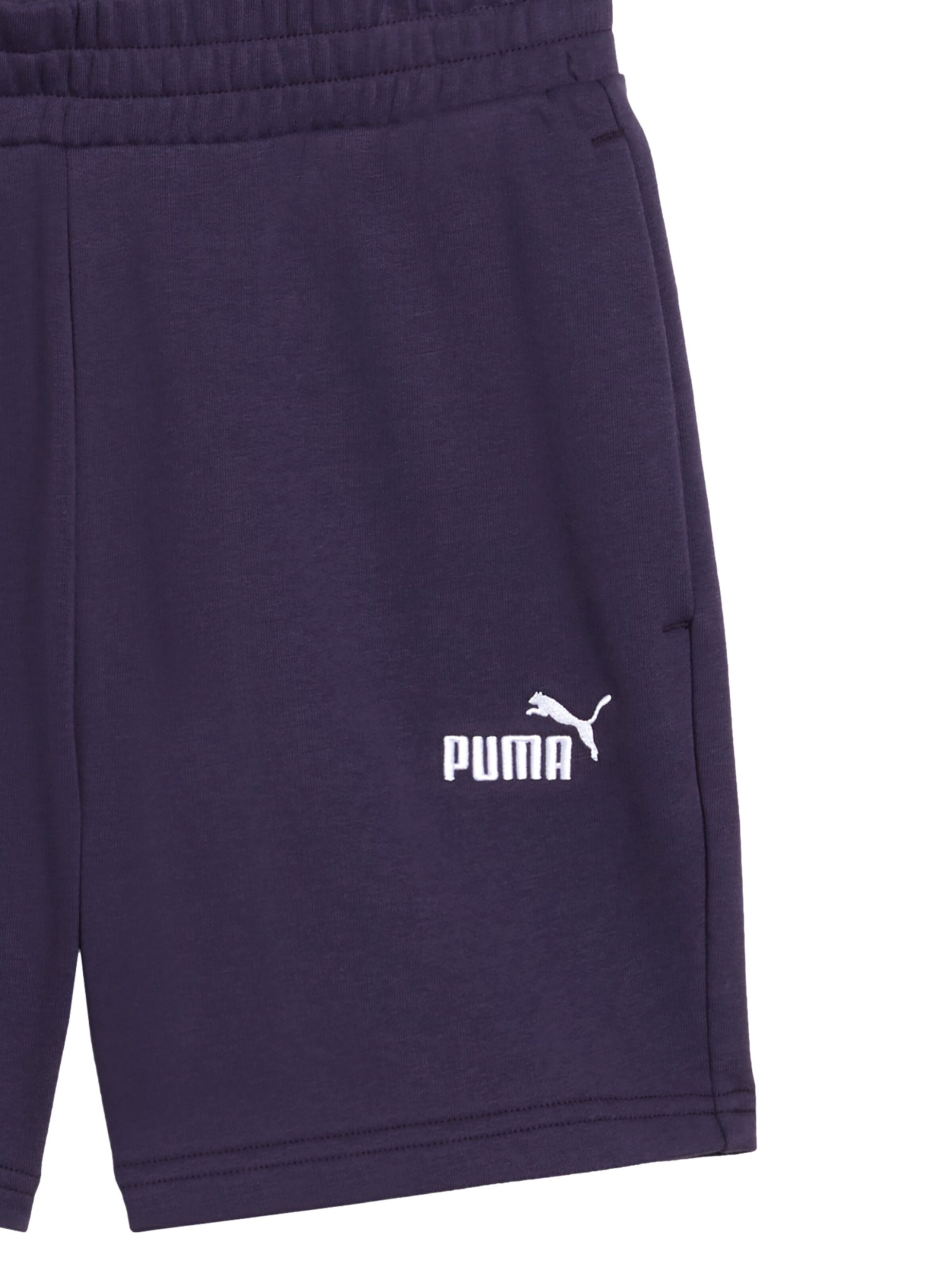 PUMA Regular Sports trousers 'Ess No. 1' in Purple