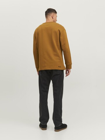 R.D.D. ROYAL DENIM DIVISION Sweatshirt i brun