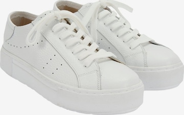 Desa Classic Flats 'Trainer' in White: front
