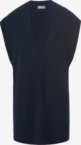 include Pullover in Blau: predná strana