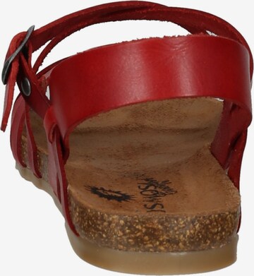 COSMOS COMFORT Sandalen met riem in Rood