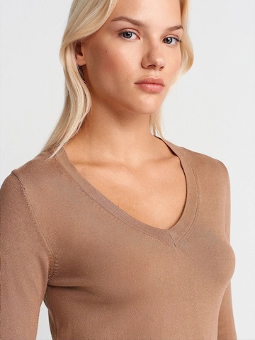 Dilvin Sweater 'Pullover' in Brown