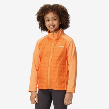 REGATTA Outdoor jacket 'Hydrate VIII' in Orange