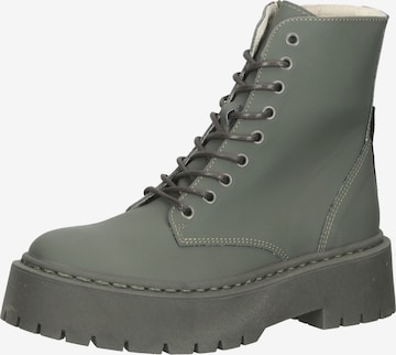 STEVE MADDEN Schnürstiefelette in Grau: predná strana