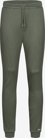 Ordinary Truffle Pants 'Blaer' in Green: front