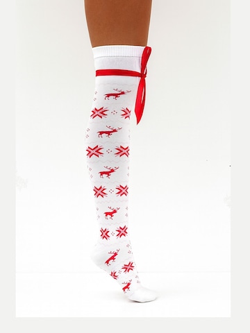Lycille Over the Knee Socks in White